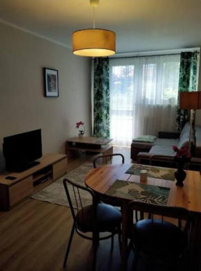 Family Apartment